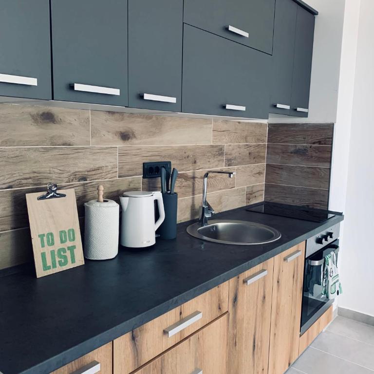 Kopaonik Milmari Apartment N95 - Apartman sa 1 Spavaćom Sobom - 14