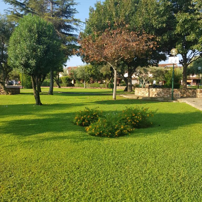 Appartamento da Francesco Villaggio degli Ulivi San Teodoro - Studio with Terrace - 22