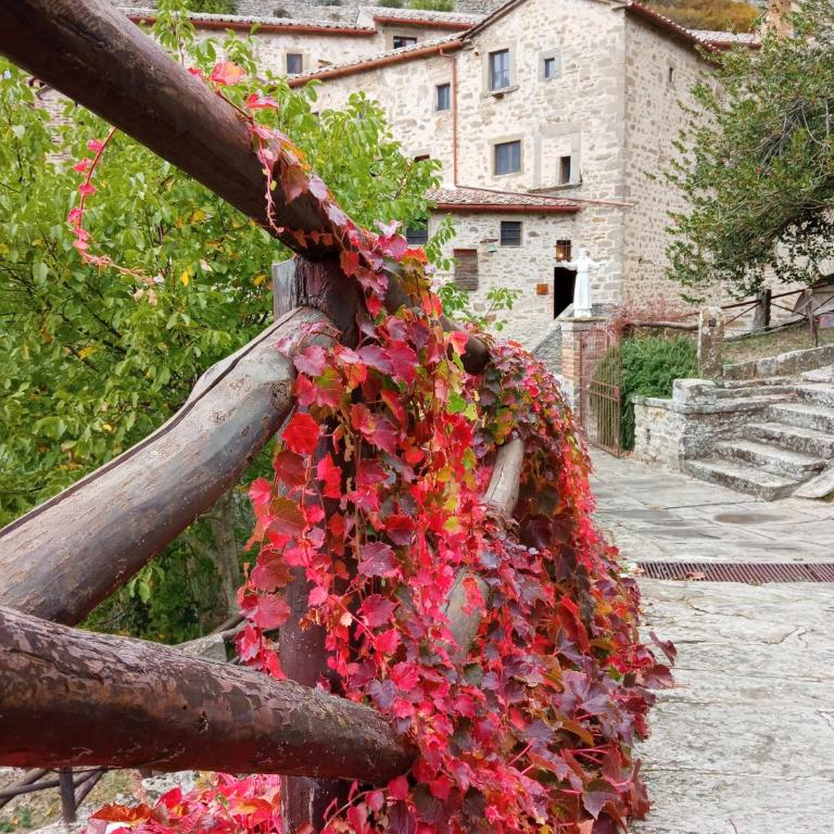 Appartamento Io e Te Cortona centro storico - seconda doccia su romantica corte - Appartamento con 2 Camere da Letto - 45