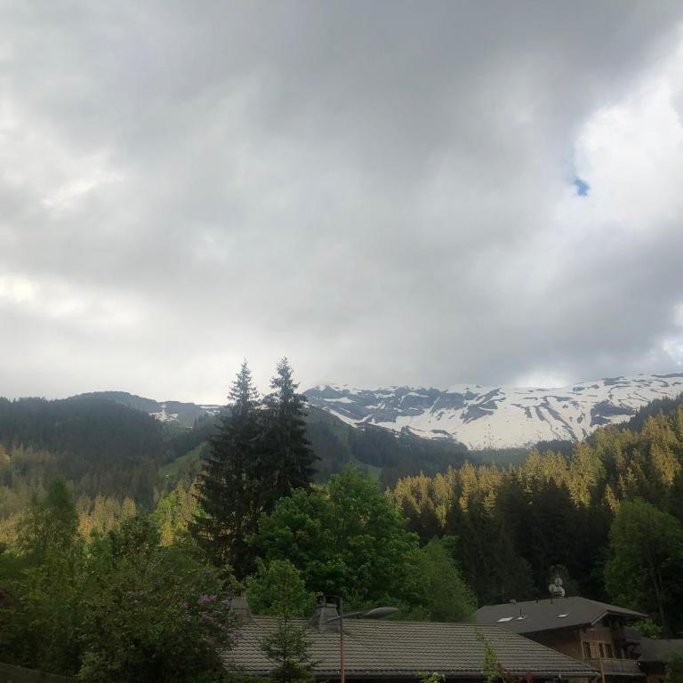Chalet Chardon - Chalet - 17