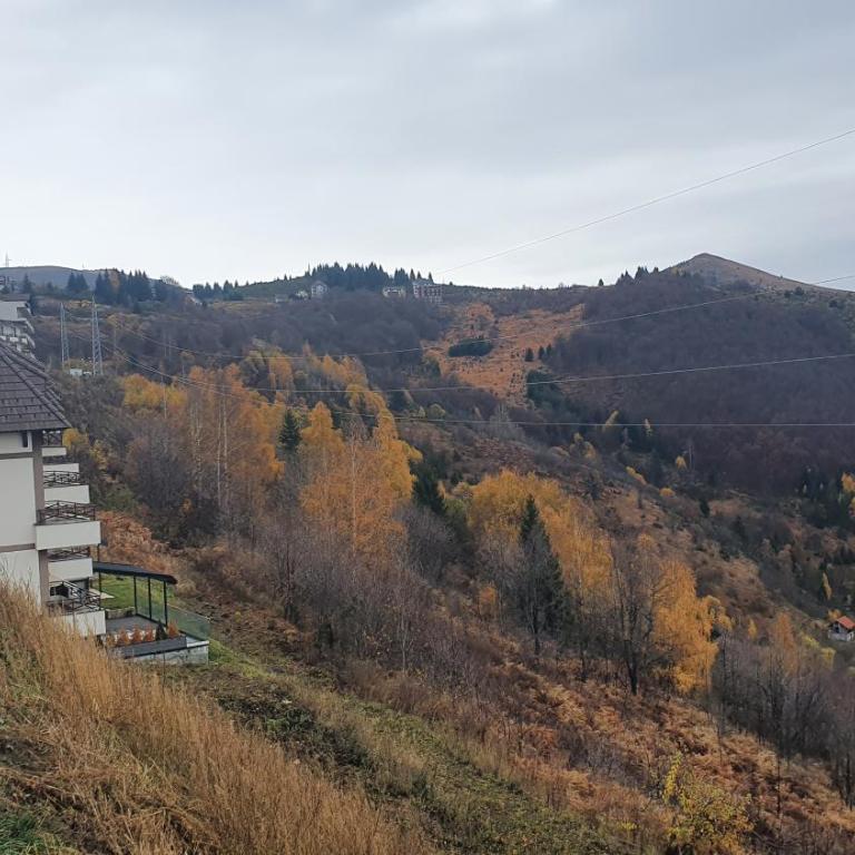 Apartments Topview Kopaonik-Dvori - Apartment with Mountain View - 38