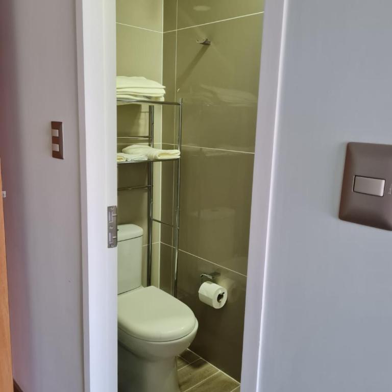 Hermoso departamento estudio ubicación inmejorable - One-Bedroom Apartment - 9