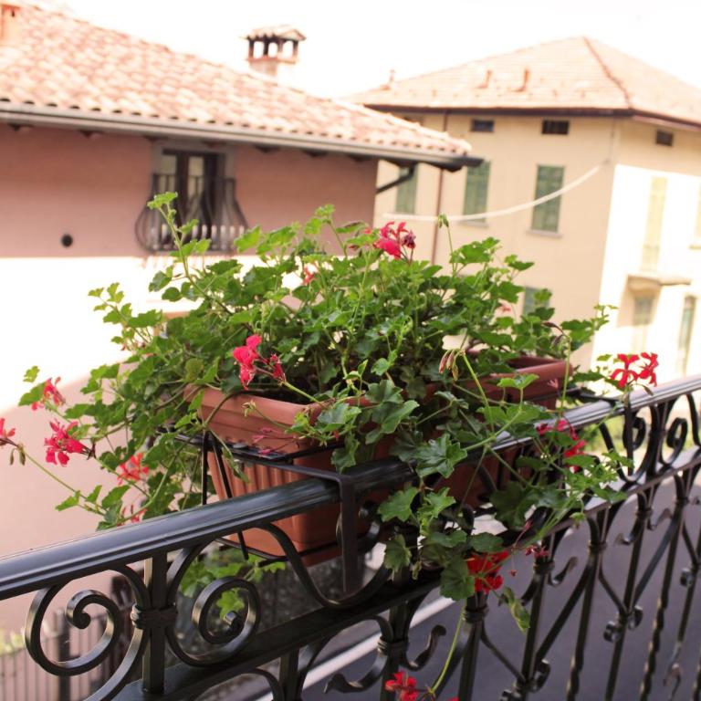 La Corte del Governo 565 - Camera King con Balcone - 6