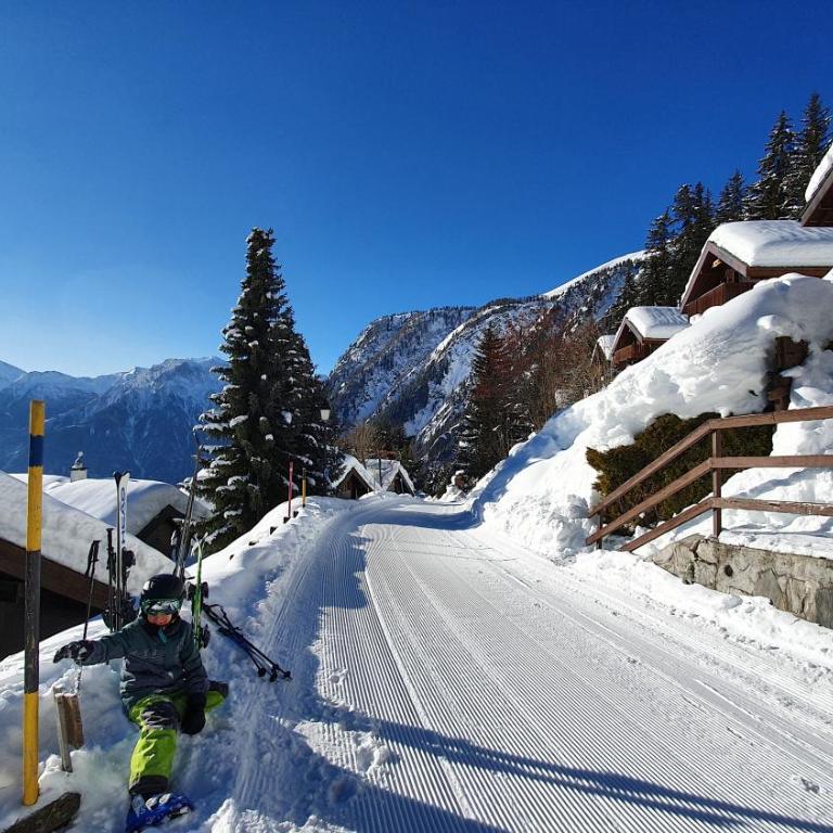 Chalet Baumfuchs direkt an der Talabfahrt Belalp - Chalet mit 3 Schlafzimmern - 22