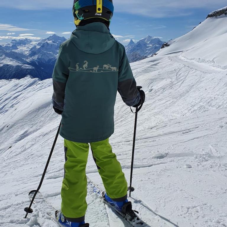 Chalet Baumfuchs direkt an der Talabfahrt Belalp - Chalet mit 3 Schlafzimmern - 21