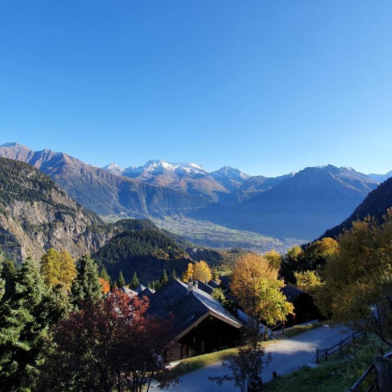 Chalet Baumfuchs direkt an der Talabfahrt Belalp - Chalet mit 3 Schlafzimmern - 25