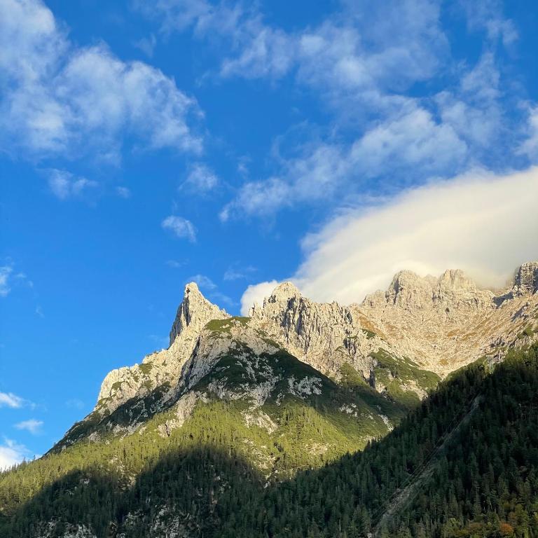 Suite Home Mittenwald - Deluxe Apartment - 14