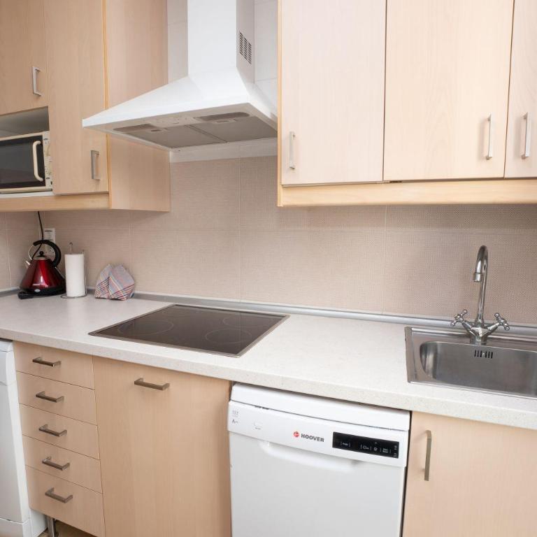 PLAZA ESPAÑA, PASEO NUEVO 2B2D MENYBER - Apartamento de 2 dormitorios - 13
