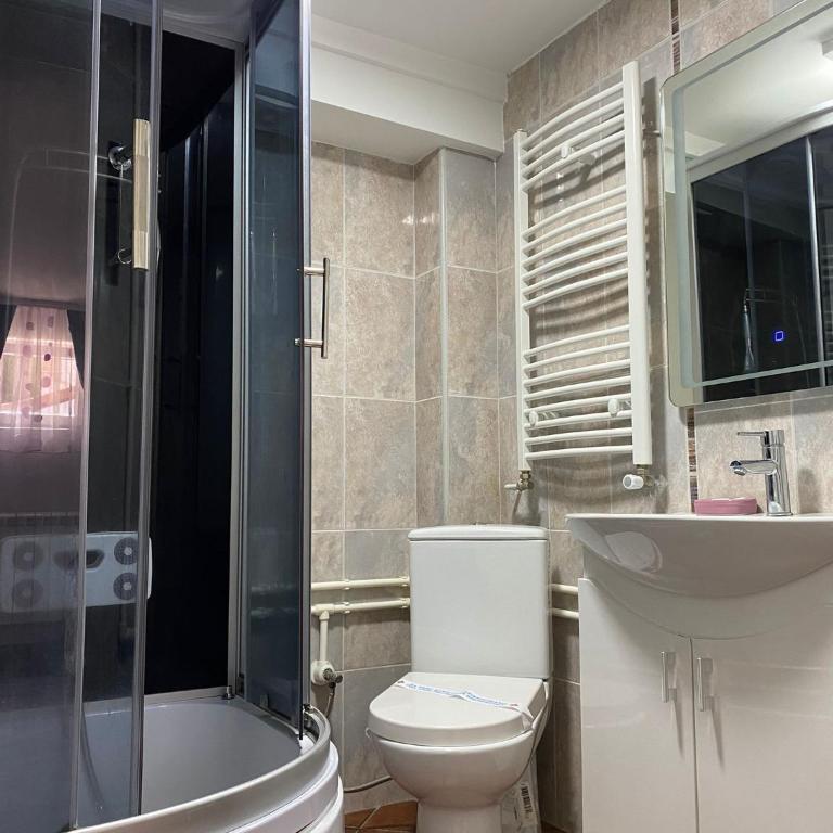 Villa Snow Queen Kopaonik - Apartment - Ground Floor - 11