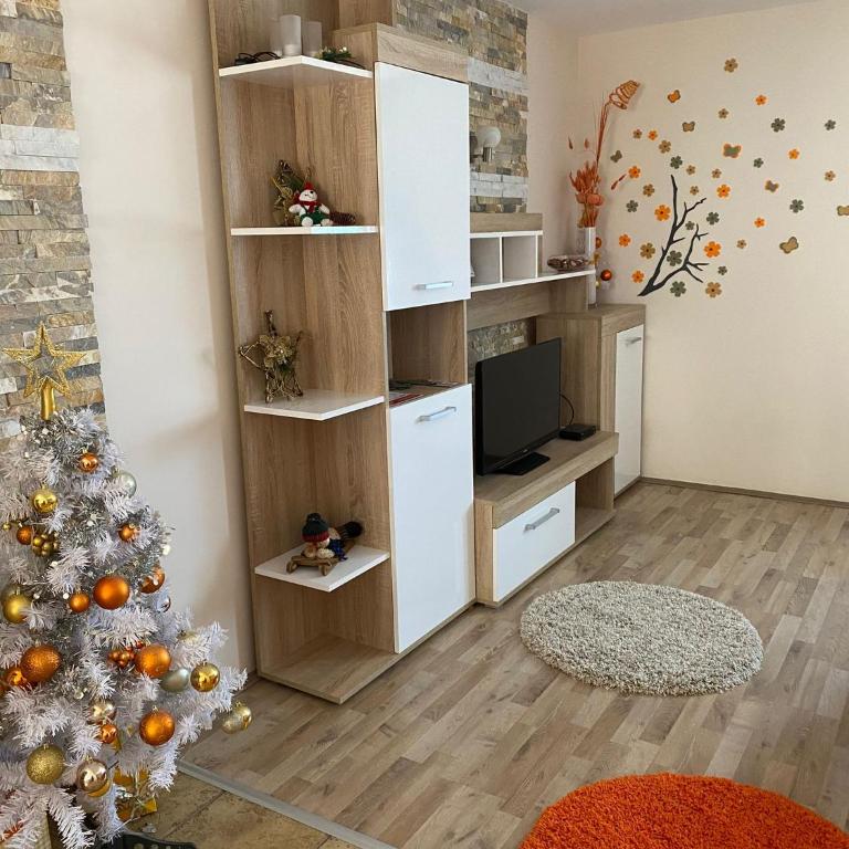 Villa Snow Queen Kopaonik - Studio Apartment - 5