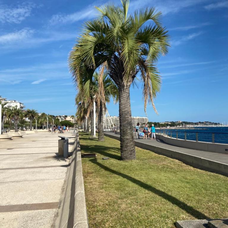 Domaine Valescure vue Piscine ou Pinede - Wifi - Apartment mit Poolblick - 27