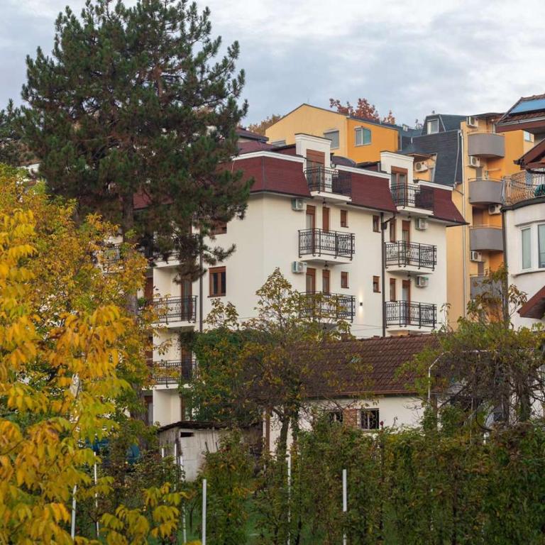 Apartman 8 Extra Vrnjacka Banja - Apartman sa 1 Spavaćom Sobom - 11