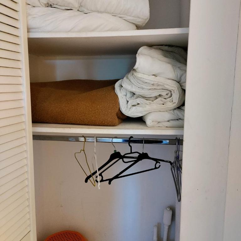 studio à l'océan au dessus des pins (plage & commerces à pied) - Studio - 13