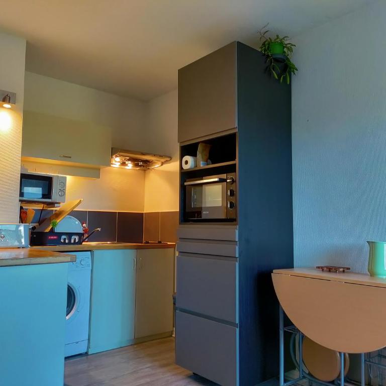studio à l'océan au dessus des pins (plage & commerces à pied) - Studio - 7
