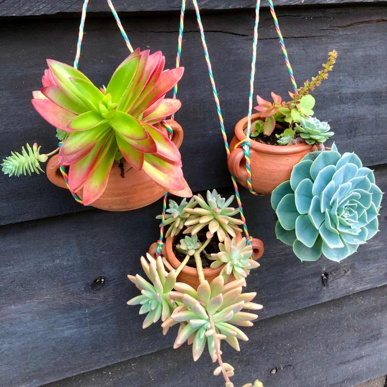 Habitaciones Luna Campestre - Double Room - 11