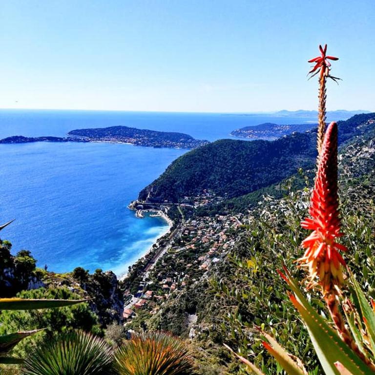 Villa d exception avec terrasse, jacuzzi, vue mer, parking, en plein cœur du village de Eze - Villa - Vue sur Mer - 54