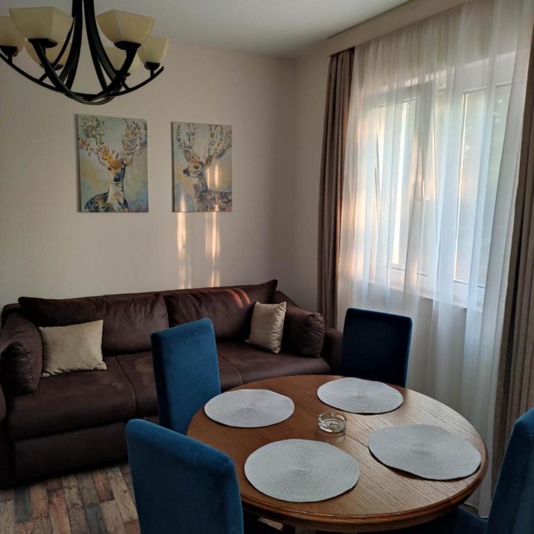 Apartmani Borova Iglica Divčibare - Apartman Tipa "Suite" sa 1 Spavaćom Sobom - 16