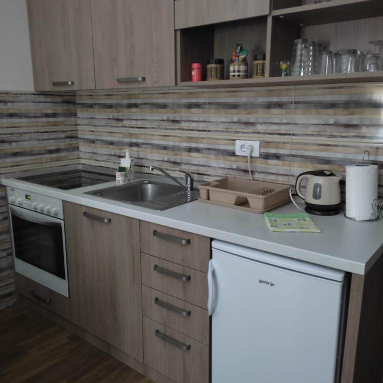 Apartmani Borova Iglica Divčibare - Apartman sa 1 Spavaćom Sobom - 8