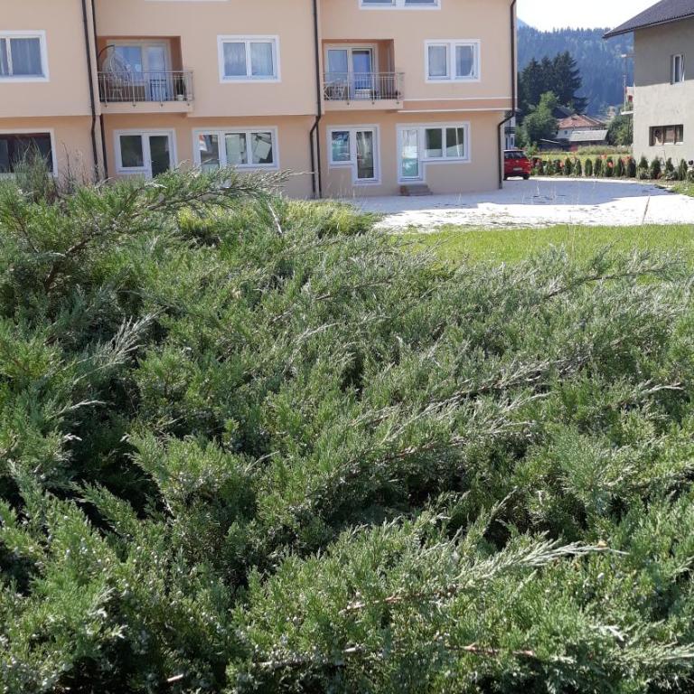 Vila Gajović - One-Bedroom Apartment - 32