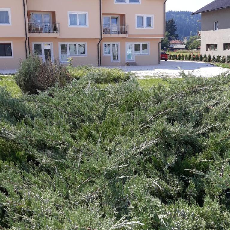 Vila Gajović - One-Bedroom Apartment - 40