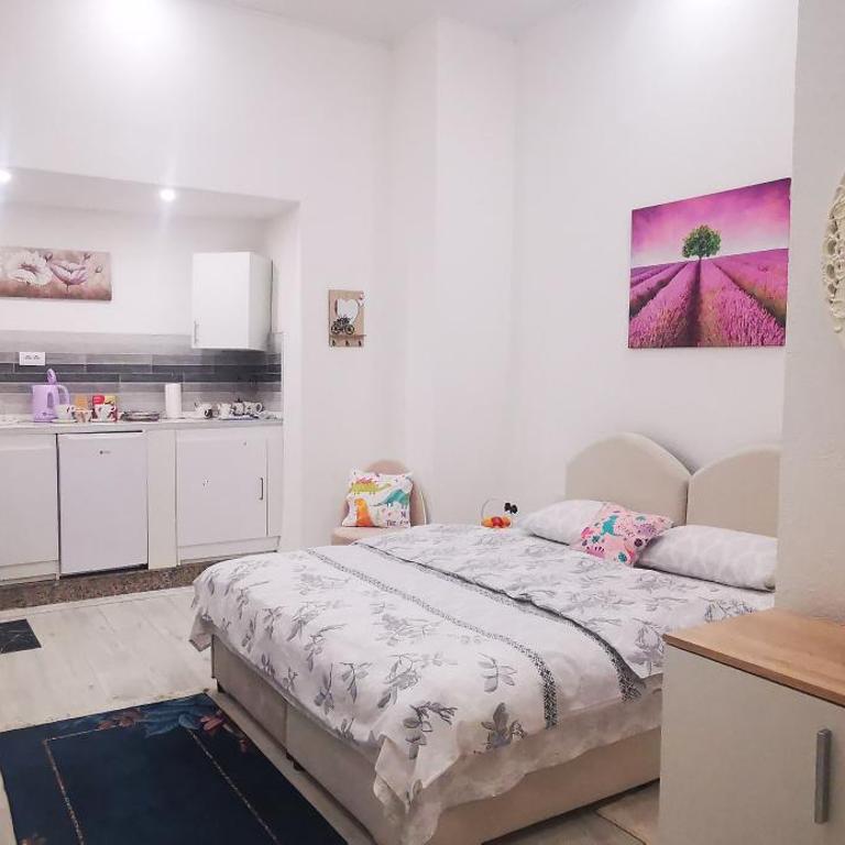 Apartmani Mimax - Apartman sa 1 Spavaćom Sobom - 11
