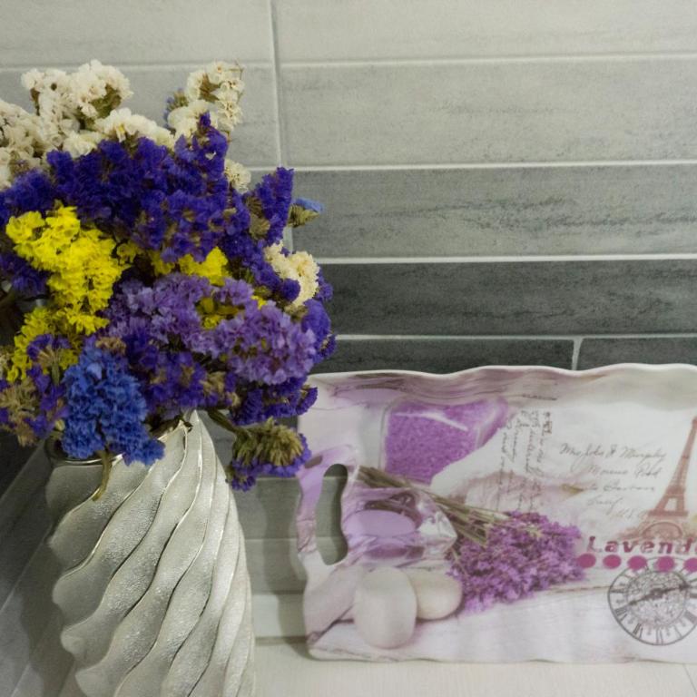 Apartmani Mimax - Apartman sa 1 Spavaćom Sobom - 15