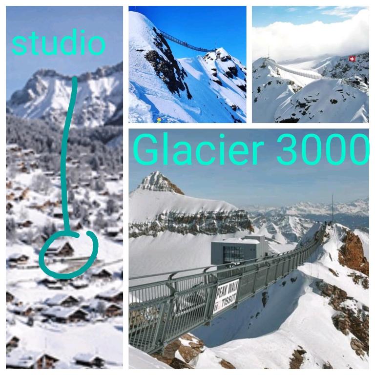 Studio avec vue splendide sur les Diablerets - Apartment mit 1 Schlafzimmer - 26