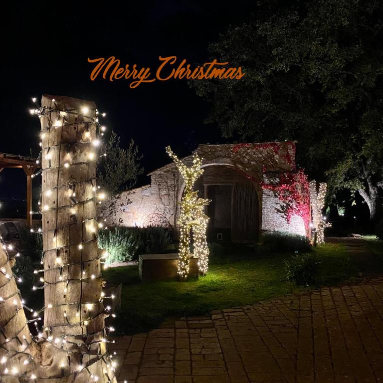 Palazzo del Papa Country Suites - Appartamento Superior - 16
