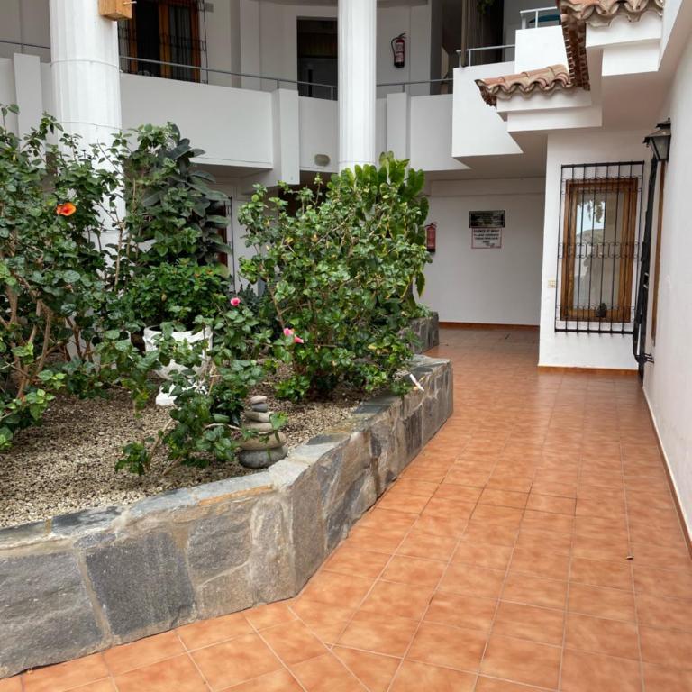 1 Bedroom Apartment with stunning sea view - Apartamento de 1 dormitorio - 10