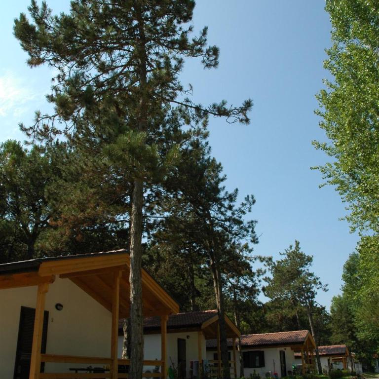 Camping Laguna Village - Chalet - 1