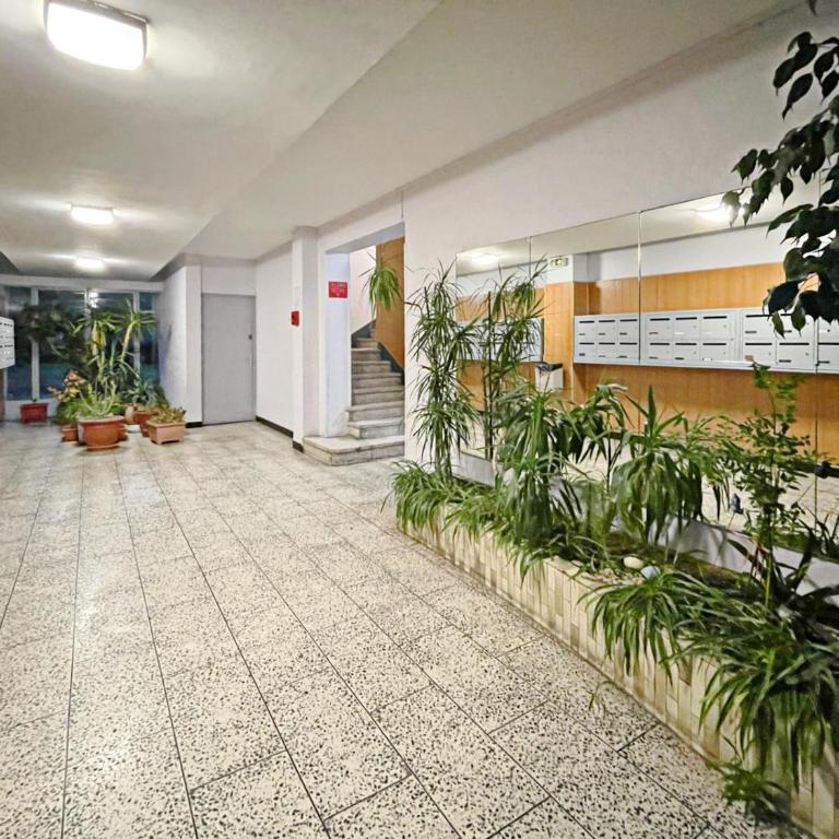 T2 LE BIEN ETRE MARSEILLE 9ème-wifi-netflix-Métro-Parking-Plage - Appartement 1 Chambre - 18