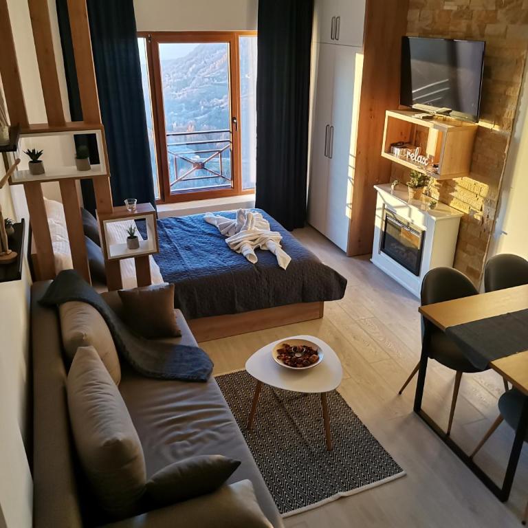 SANS Lux Apartman N42 Milmari Kopaonik - Studio Apartment - 25