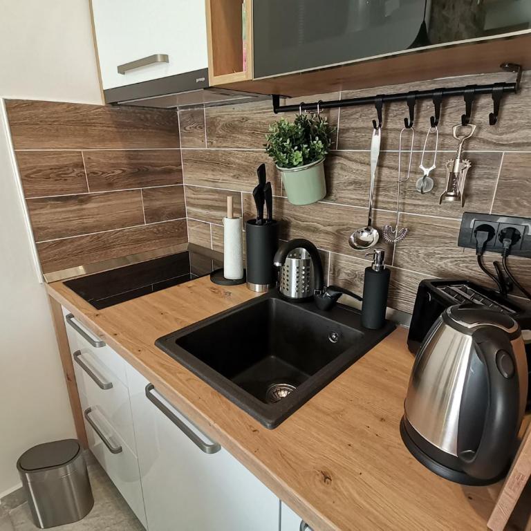 SANS Lux Apartman N42 Milmari Kopaonik - Studio Apartment - 17