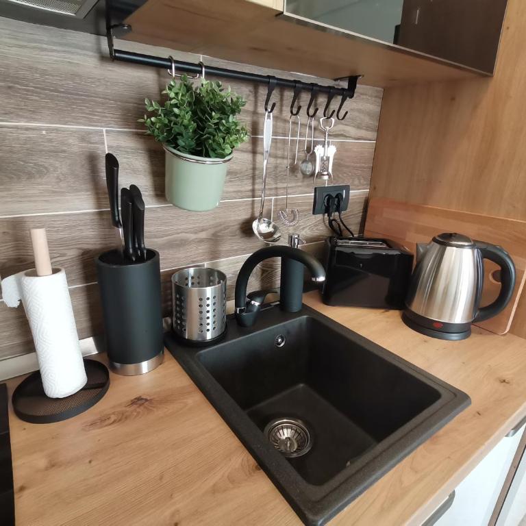 SANS Lux Apartman N42 Milmari Kopaonik - Studio Apartment - 18