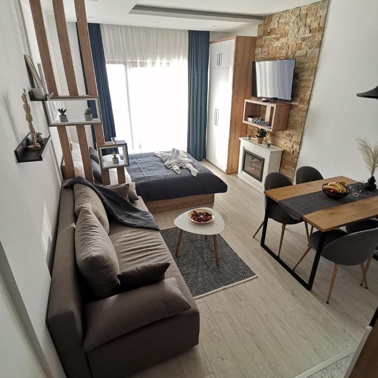 SANS Lux Apartman N42 Milmari Kopaonik - Studio Apartment - 31