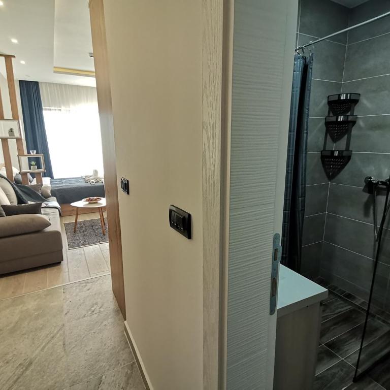 SANS Lux Apartman N42 Milmari Kopaonik - Studio Apartment - 35