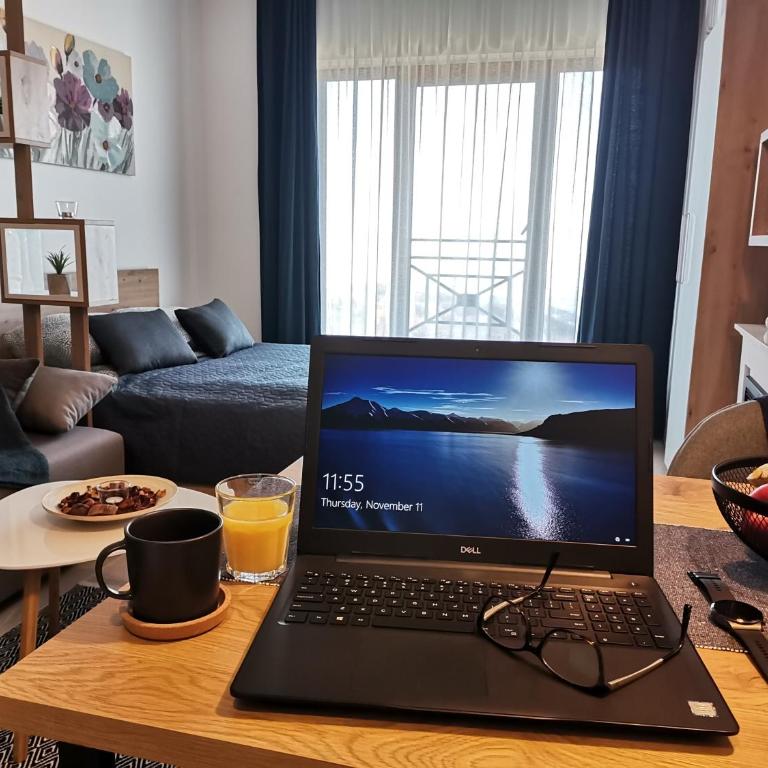 SANS Lux Apartman N42 Milmari Kopaonik - Studio Apartment - 41