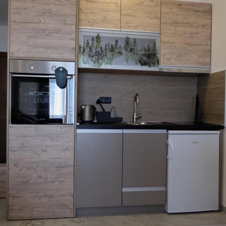 Ski & Spa Apartment N34 Milmari Resort Kopaonik - Studio with Mountain View - 13