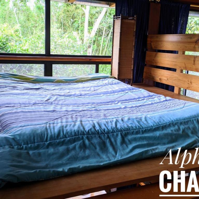 Alpha House - Apartamento con vistas al jardín - 10