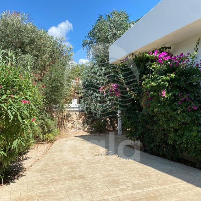 Villa Sebastia - 100m dalla spiaggia By Cala Salento - Three-Bedroom Villa - 45