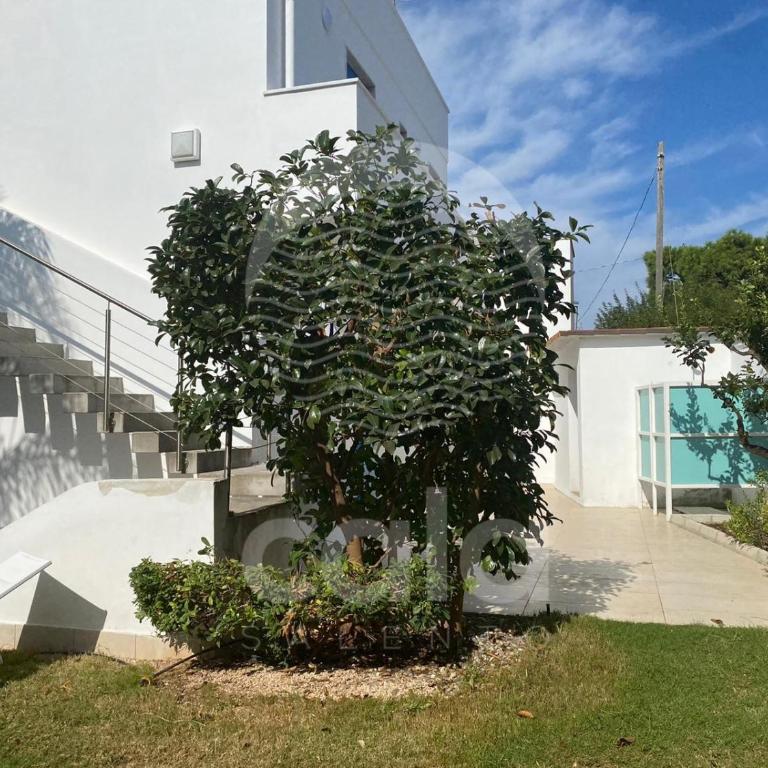 Villa Azzurra By Cala Salento - Casa con 3 Camere da Letto - 50