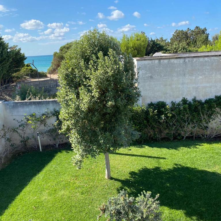 Villa Giulietta By Cala Salento - Villa - 69