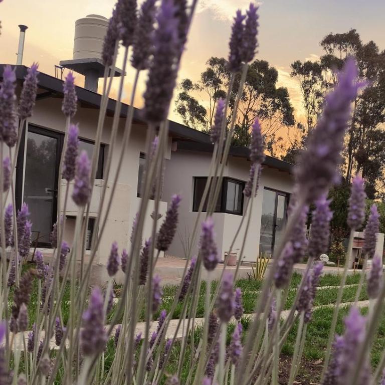 LP Loft Acantilados - Apartamento de 1 dormitorio - 11