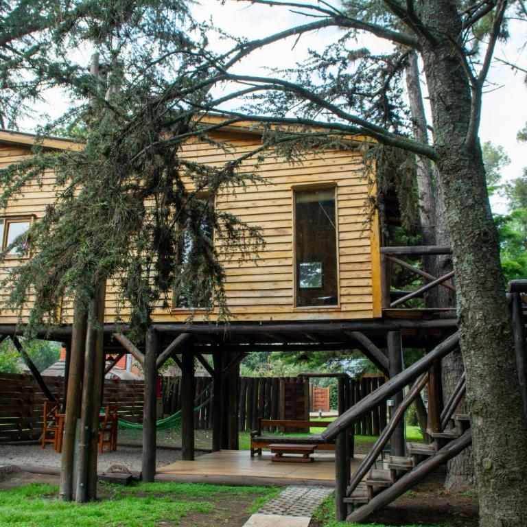 CABAÑAS DEL CAMPO - Cabaña Sobre Árbol - 2