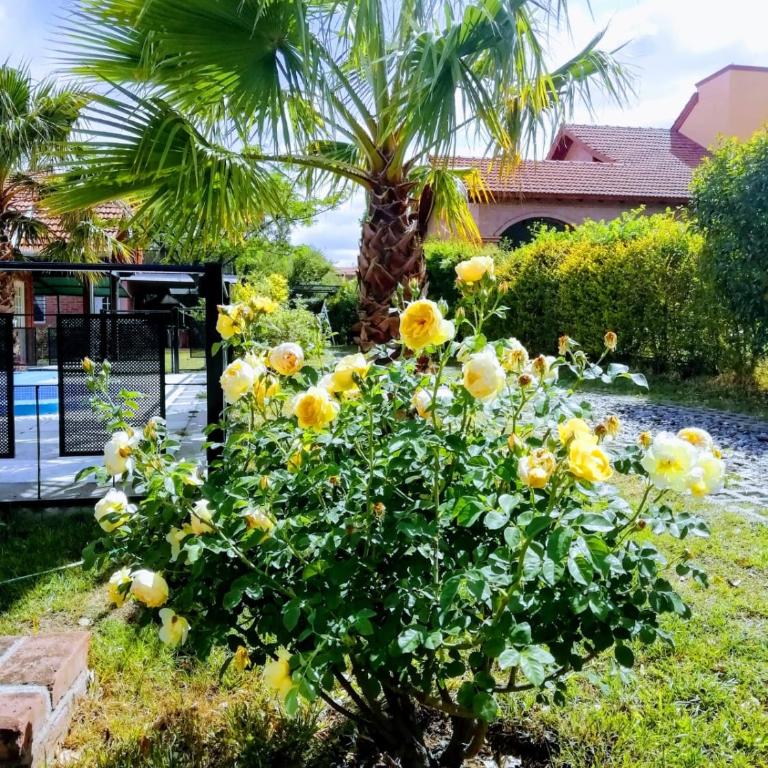 Casa MERLITO - PISCINA DE USO EXCLUSIVO - HERMOSAS VISTAS A LAS SIERRAS -VILLA DE MERLO - SAN LUIS - Casa - 22