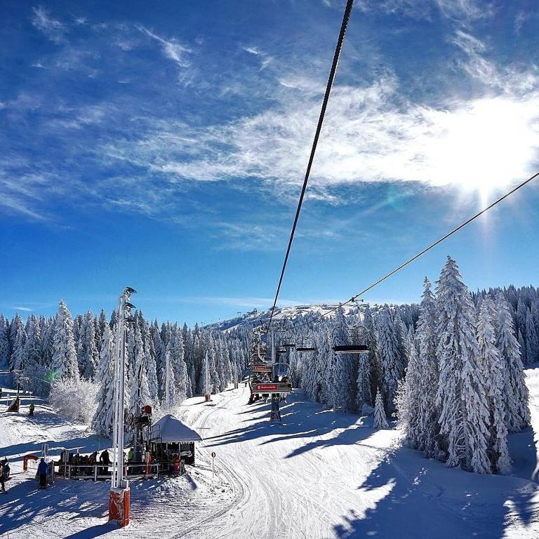 Ski & Spa Apartment N34 Milmari Resort Kopaonik - Studio with Mountain View - 64