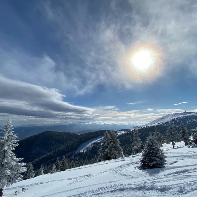 Ski & Spa Apartment N34 Milmari Resort Kopaonik - Studio with Mountain View - 69