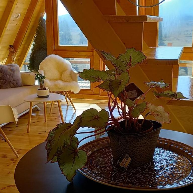 Monte Zen - One-Bedroom Chalet - 42