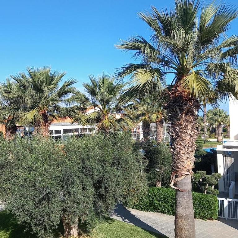 Casa Salá, alojamiento con encanto en Vera Natura - Apartamento - 9