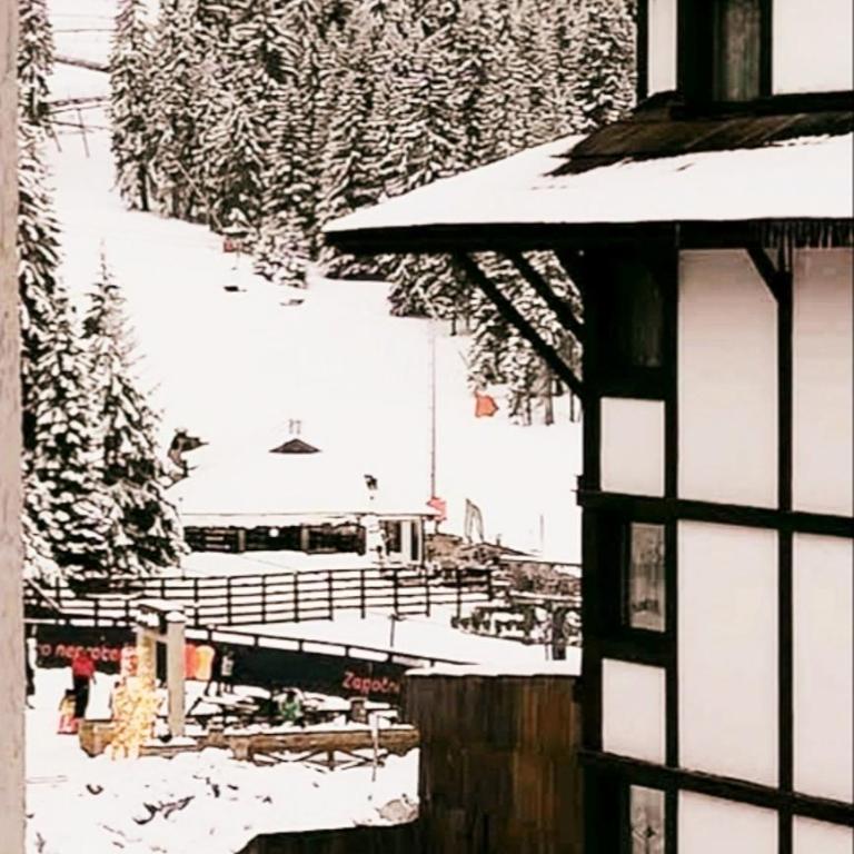 Apartman Nina Kopaonik centar - Apartment - 20